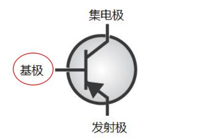 image19.jpeg